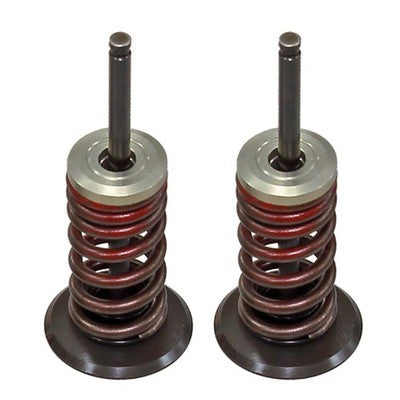 Solid Spare Psychic Intake Valve Kit for Suzuki RM-Z250 fits 2010 2011 2012 2013 2014 2015