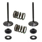 Solid Spare Psychic Intake Valve Kit for Suzuki RM-Z450 fits 2005-2006 Models