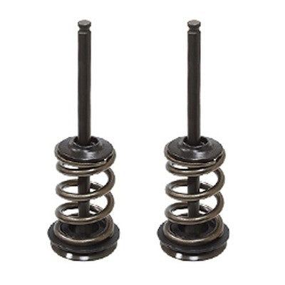 Solid Spare Psychic Exhaust Valve Kit for KTM fits 2008-2013 250 SX-F & 250 EXC-F