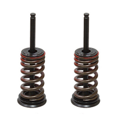 Solid Spare Psychic Exhaust Valve Kit for Kawasaki 2004-16 KX250F, for Suzuki 2004-06 RMZ250