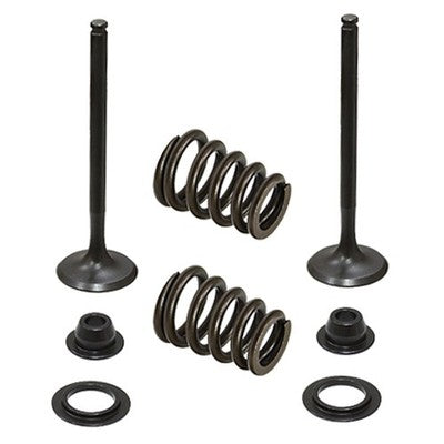 Solid Spare Psychic Exhaust Valve Kit for KTM fits some 2003-2006 450, 525, 540 & 560 Models
