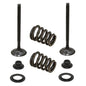 Solid Spare Psychic Exhaust Valve Kit for KTM fits some 2003-2006 450, 525, 540 & 560 Models
