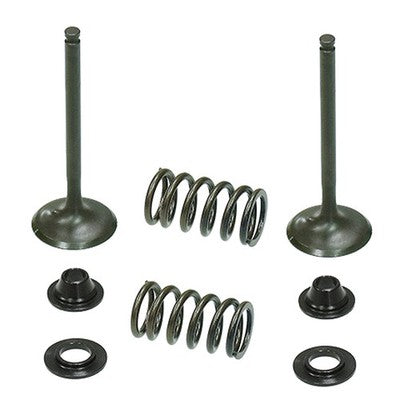 Solid Spare Psychic Exhaust Valve Kit for Yamaha 2003-2009 YZ450F & 2003-2015 WR450F