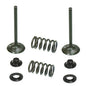Solid Spare Psychic Exhaust Valve Kit for Yamaha 2003-2009 YZ450F & 2003-2015 WR450F