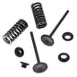 Solid Spare Psychic Exhaust Valve Kit for Honda CRF250R fits 2016-2017 Models