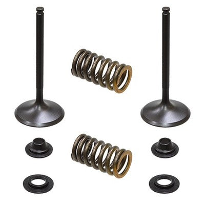Solid Spare Psychic Intake Valve Kit for Yamaha 2014-2017 YZ450F & 2016-2018 WR450F