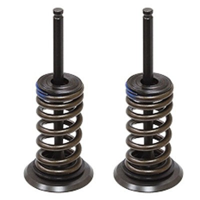 Solid Spare Psychic Intake Valve Kit for Kawasaki KX250F & for Suzuki RM-Z250 fits 2004-2006