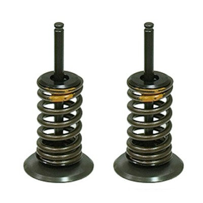 Solid Spare Psychic Intake Valve Kit for Honda CRF450R fits 2009-2016 Models