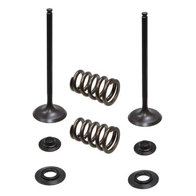 Solid Spare Psychic Intake Valve Kit for KTM 2005-2007 250 SX-F, 2007 250 EXC-F & 250 XC-F