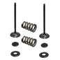 Solid Spare Psychic Intake Valve Kit for KTM 2005-2007 250 SX-F, 2007 250 EXC-F & 250 XC-F
