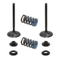 Solid Spare Psychic Intake Valve Kit for KTM 2013-2015 350 SX-F & 2013-2015 350 XC-F