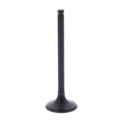 Engine Exhaust Valve fits Honda Recon 250 2x4 TRX250 1997 1998 1999 2000 2001