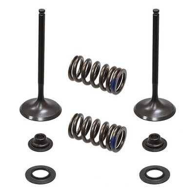 Solid Spare Psychic Intake Valve Kit for Kawasaki KX250F & for Suzuki RM-Z250 fits 2004-2006