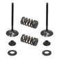 Solid Spare Psychic Intake Valve Kit for Kawasaki KX250F & for Suzuki RM-Z250 fits 2004-2006