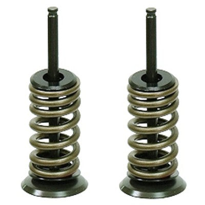 Solid Spare Psychic Exhaust Valve Kit for Honda CRF450R fits 2002 2003 2004 2005 2006 Models