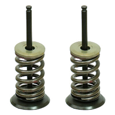Solid Spare Psychic Intake Valve Kit for Kawasaki KX250F 2011 2012 2013 2014 2015 2016