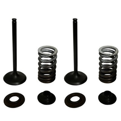 Solid Spare Psychic Exhaust Valve Kit for Honda CRF450R fits 2013 2014 2015 2016 Models