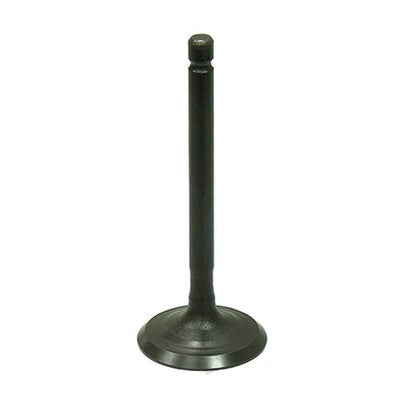 Bronco Engine Intake Valve for Yamaha Breeze 125, Raptor 125 & Grizzly 125