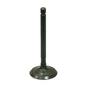 Bronco Engine Intake Valve for Yamaha Breeze 125, Raptor 125 & Grizzly 125