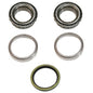 Front Strut Bearing & Seal Kit many 1995-2008 for Polaris 4x4 & 6x6 SEE LIST