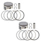 2 Namura .020 Over Bore Piston Kits for Can-Am Ryker 600 ACE 2019-2024 74mm