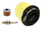 Solid Spare Air Filter, Oil Filter & NGK Spark Plug for Honda Foreman 500 fits 2005-2009