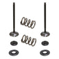 Solid Spare Psychic Exhaust Valve Kit for KTM fits 2008-2013 250 SX-F & 250 EXC-F