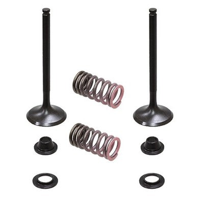 Solid Spare Psychic Exhaust Valve Kit for Yamaha 2014-2018 YZ450F/YZ450FX & 2016-2018 WR450F