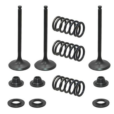 Solid Spare Psychic Intake Valve Kit for Yamaha YFZ450, YFZ450R & YFZ450X fits 2004-2023