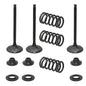 Solid Spare Psychic Intake Valve Kit for Yamaha YFZ450, YFZ450R & YFZ450X fits 2004-2023
