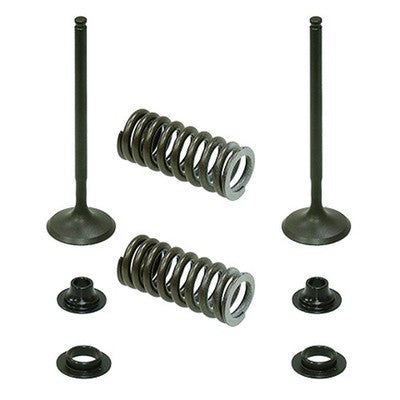 Solid Spare Psychic Exhaust Valve Kit for Honda CRF250R fits 2010 2011 2012 2013 2014 2015