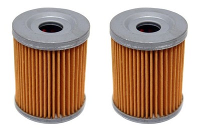 2 Pack of Oil Filters for Suzuki DR-Z125 DR-Z125L 2003-2022 Replaces 16510-25C00