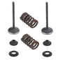 Solid Spare Psychic Exhaust Valve Kit for Honda CRF450R fits 2007-2008 Models
