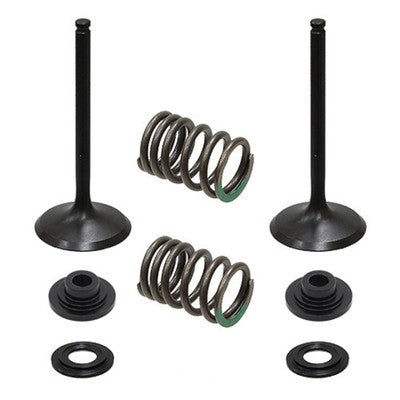 Solid Spare Psychic Intake Valve Kit for Suzuki RM-Z450 fits 2007 Model