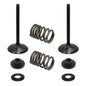 Solid Spare Psychic Intake Valve Kit for Suzuki RM-Z450 fits 2007 Model