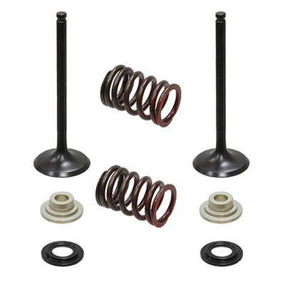 Solid Spare Psychic Exhaust Valve Kit for Suzuki RM-Z450 fits 2005-2006 Models