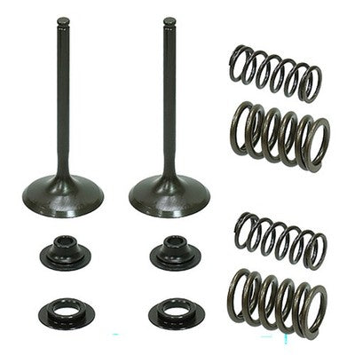Solid Spare Psychic Intake Valve Kit for Honda CRF450X fits 2005-2017 Models