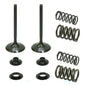 Solid Spare Psychic Intake Valve Kit for Honda CRF450X fits 2005-2017 Models