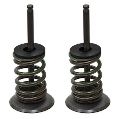 Solid Spare Psychic Intake Valve Kit for Suzuki RM-Z450 fits 2005-2006 Models