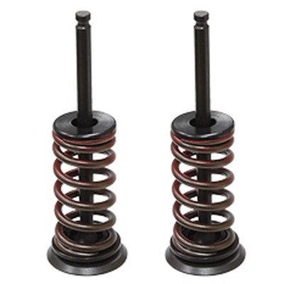 Solid Spare Psychic Exhaust Valve Kit for Yamaha WR250F fits 2001-2013 Models