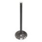 Engine Exhaust Valve for Yamaha VX1050 2016-2023 Replaces OEM# 8GL-12121-10-00