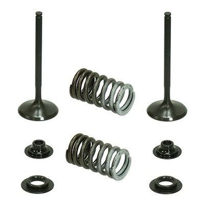 Solid Spare Psychic Exhaust Valve Kit for Honda CRF450R fits 2009 2010 2011 2012 Models