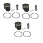3 SPI Standard Bore Piston Kits for Arctic Cat Triple Touring 600 1999-00 66.5mm