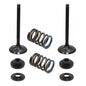 Solid Spare Psychic Exhaust Valve Kit for Suzuki 2008-2022 RM-Z450 & 2010/2017-2019 RMX450Z