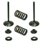 Solid Spare Psychic Intake Valve Kit for Honda TRX450R & TRX450ER fits 2006-2014 Models