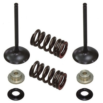 Solid Spare Psychic Intake Valve Kit for Suzuki RM-Z250 fits 2007 2008 2009 Models