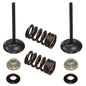 Solid Spare Psychic Intake Valve Kit for Suzuki RM-Z250 fits 2007 2008 2009 Models