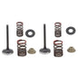Solid Spare Psychic Exhaust Valve Kit for Kawasaki KX450F fits 2017-2018 Models - XU-09562EK