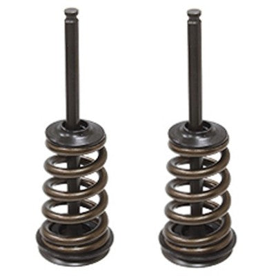 Solid Spare Psychic Exhaust Valve Kit for KTM 2005-2007 250 SX-F, 2007 250 EXC-F & 250 XC-F