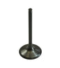 Bronco Engine Intake Valve for Suzuki Quadracer 450 fits 2006-2009 LT-R450